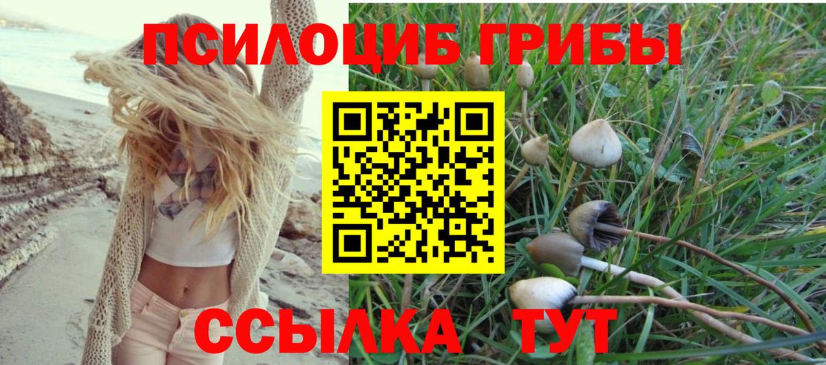 Псилоцибиновые грибы MAGIC MUSHROOMS  Вход с VPN  где купить наркоту  Галлюциногенные грибы мухоморы  Новоуральск 